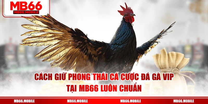 Cách giữ phong thái cá cược đá gà VIP tại MB66 luôn chuẩn