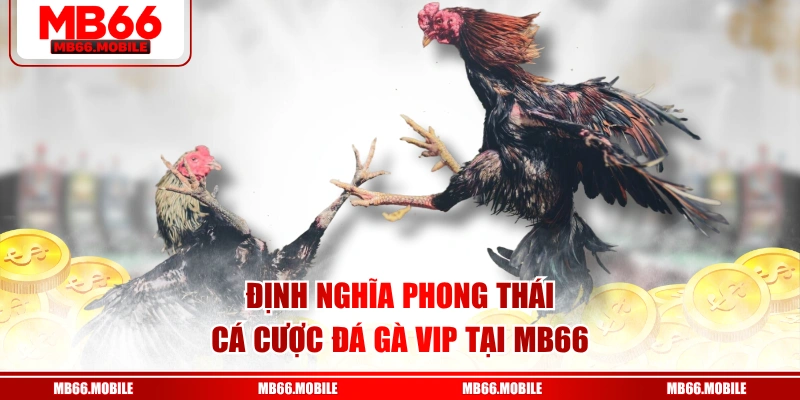Định nghĩa phong thái cá cược đá gà VIP tại MB66